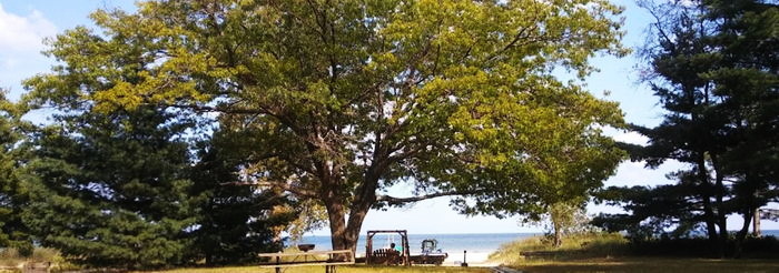 Pines on the Lake (Bero Beach Motel) - Web Listing (newer photo)